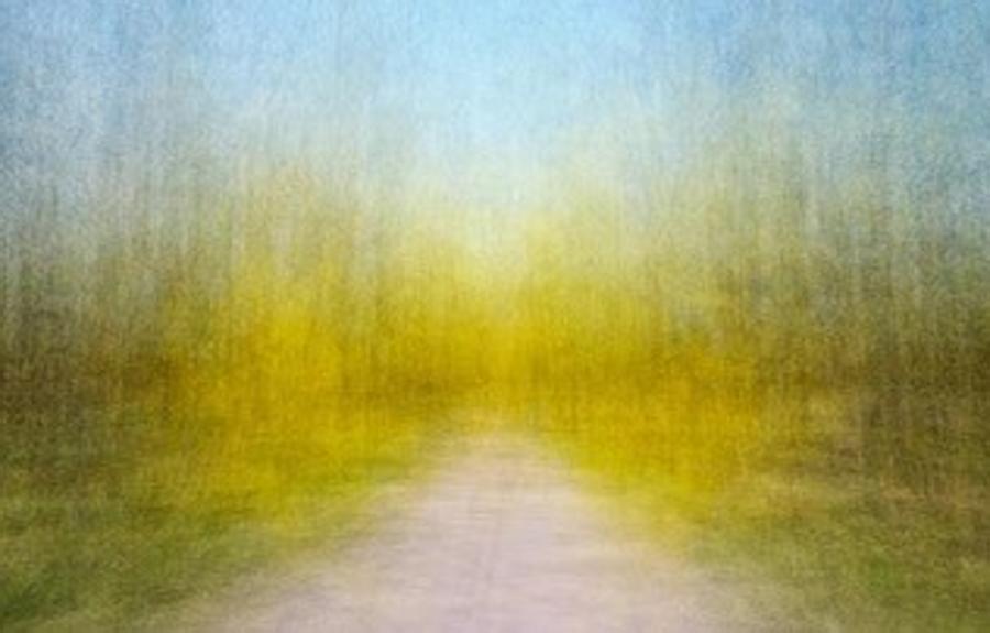 Eeva Karhu, Path (Moments) Spring 4, 2021, archival pigment print framed. Courtesy of the artist and Persons Projects. © the artist