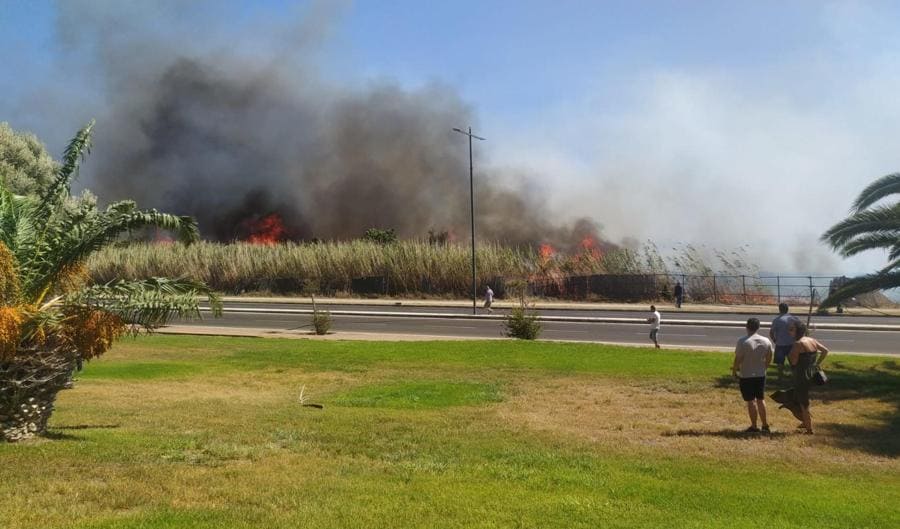 Fiamme vicino case Quartu S.Elena. Primo bilancio per gli incendi che da questa mattina - anche favoriti dal forte maestrale - stanno bruciando le campagne del sud Sardegna. Gravissimi i danni nella zona di Feraxi: 4 aziende agricole sono state devastata dal fuoco che ha distrutto le riserve di foraggio accumulate. Fiamme anche sugli agrumeti e su una una fattoria modello, meta ogni anno di gite di numerose scolaresche. Le fiamme hanno minacciato anche alcune strutture ricettive ed è stato necessario evacuare gli ospiti. (ANSA/FABRIZIO FOIS)