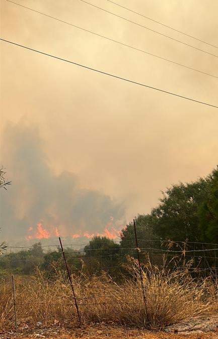 Un grosso incendio è divampato a metà pomeriggio a Monte Longu di Posada (Nuoro), nella costa nord orientale della Sardgena, in cui sono state evacuate diverse abitazioni. Le fiamme alimentate dal maestrale, si stanno spingendo velocemente verso Siniscola e il centro balneare de La Caletta. L'incendio è arrivato a ridosso delle case, alcune delle quali sono già state evacuate dai Vigili del fuoco del Comando Provinciale di Nuoro, intervenuti sul posto con sei squadre, 30 uomini e 12 mezzi. (NPK ANSA / Giorgio Fresu / Amministratore del territorio)