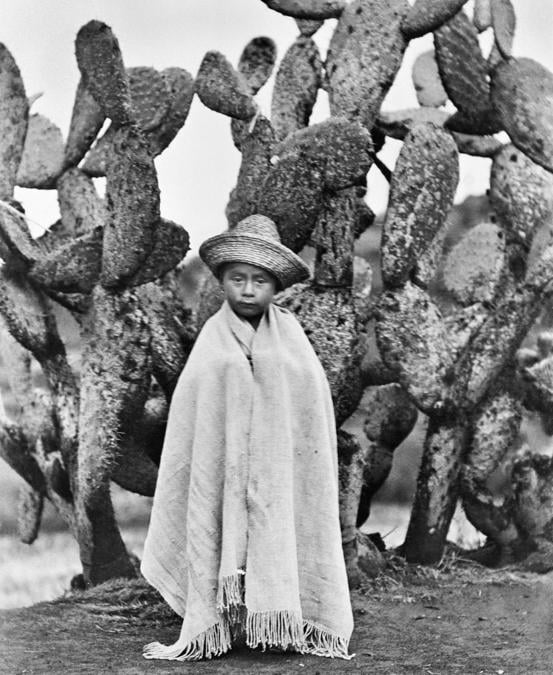 Tina Modotti, Bambino davanti a un cactus, Messico, 1928 ca. 