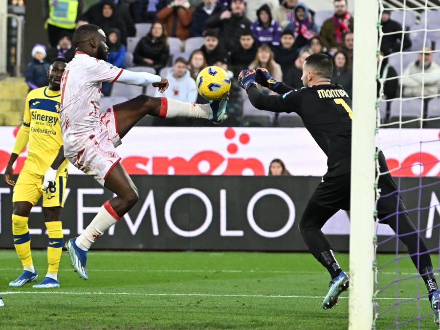 Fiorentina-Hellas Verona (Ansa/Claudio Giovannini)