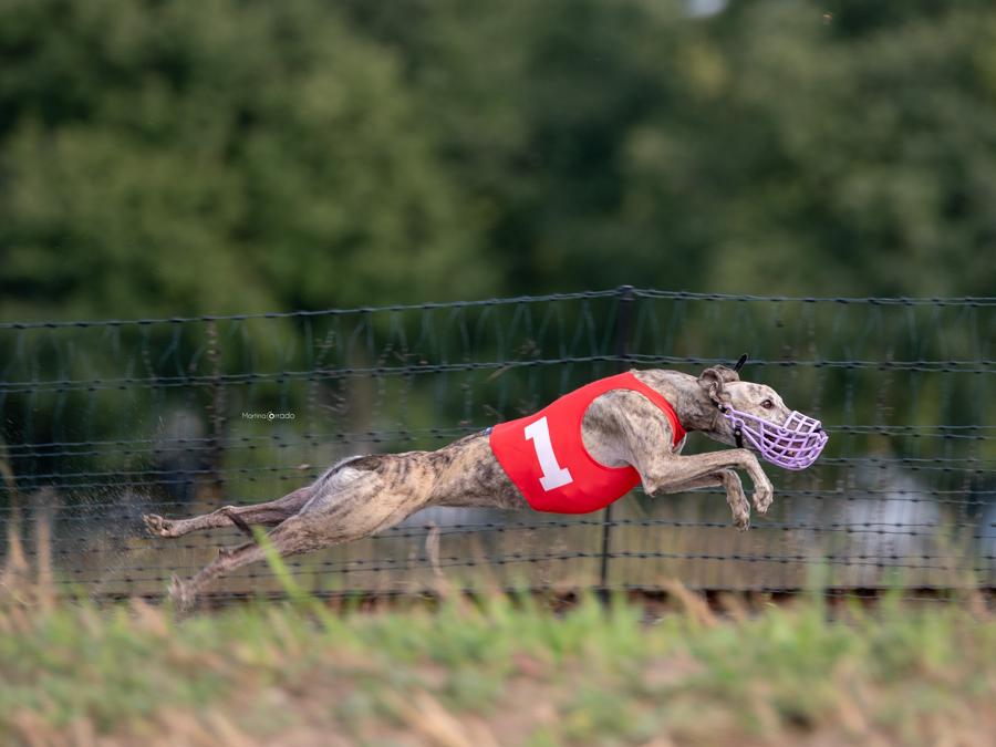 (Foto di Martina Corrado)