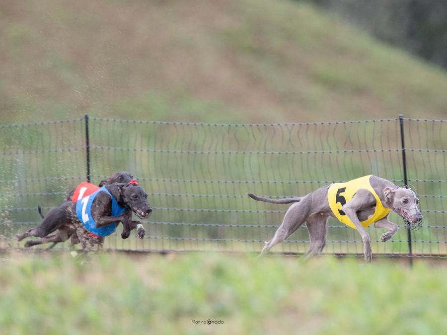 (Foto di Martina Corrado)