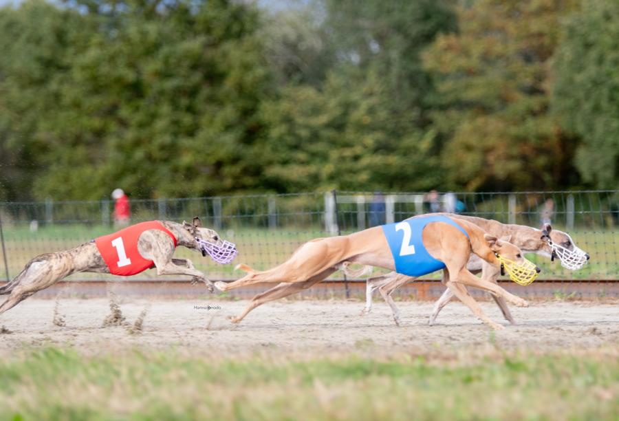 (Foto di Martina Corrado)