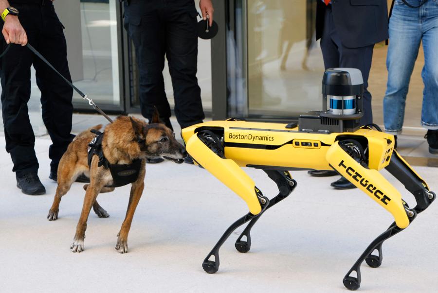 Un cane poliziotto dell’unità di polizia nazionale francese RAID, specializzata nella ricerca di esplosivi, prende confidenza con un “collega” cane robot della Boston Dynamics a Marsiglia, prima di una visita del Presidente francese Emmanuel Macron al campus di innovazione e formazione CMA CGM Tangram. (foto Ludovic Marin/Piscina/AFP)