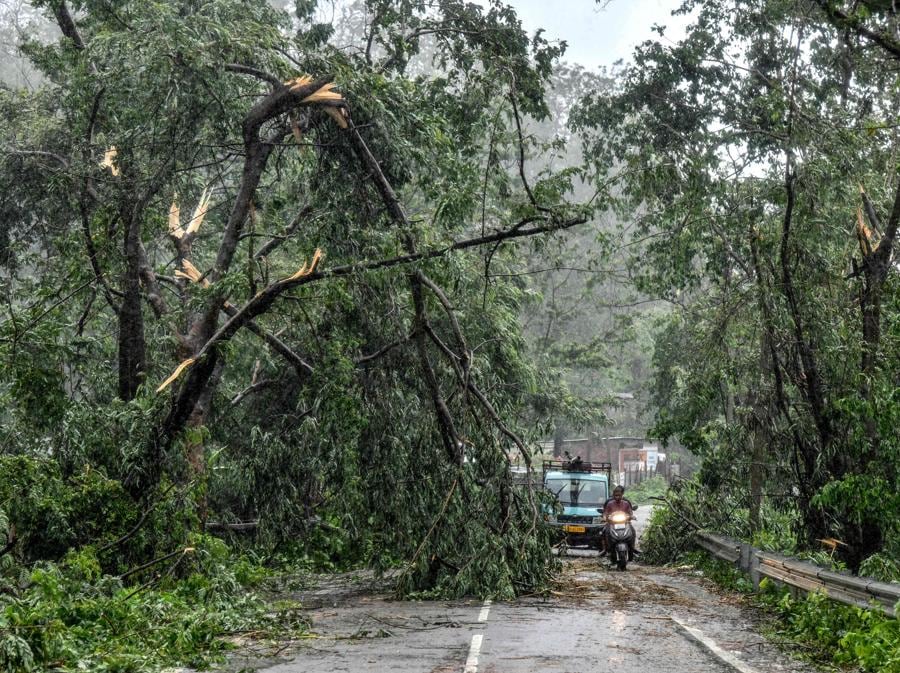 I pendolari passano accanto ad alberi danneggiati e sradicati in seguito all’approdo del ciclone Remal in India, a Guwahati. Il ciclone Remal, che si è abbattuto sulle pianure del Bangladesh e sulla vicina India la sera del 26 maggio con violente tempeste e onde che si infrangono, è partito almeno 38 persone sono morte, migliaia di case sono state distrutte, distrutte dighe marine e città allagate nei due paesi. (Photo by Biju BORO / AFP)