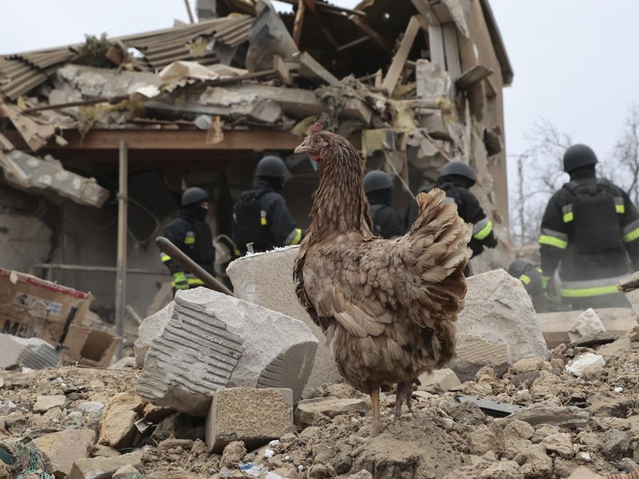Una gallina tra le macerie, insieme ai vigili del fuoco, sulla scena di un attacco missilistico vicino a edifici privati ​​a Zaporizhzhia, Ucraina. EPA/KATERYNA KLOCHKO