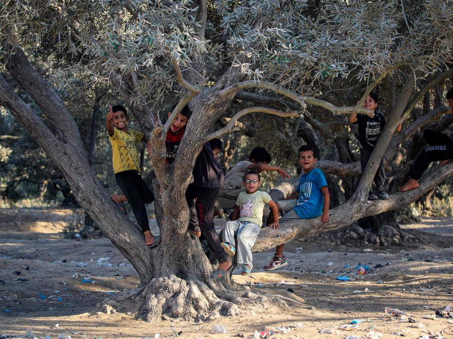 Bambini giocano su un ulivo nel campo profughi palestinese di al-Maghazi, nella Striscia di Gaza centrale. (Photo by Eyad Baba / AFP)