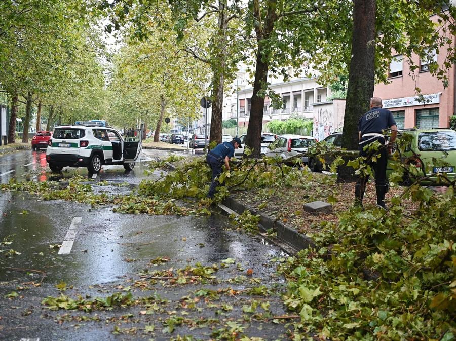 Alberi caduti e allagamenti causati dal nubifragio che ha interessato Torino. (ANSA/ALESSANDRO DI MARCO)