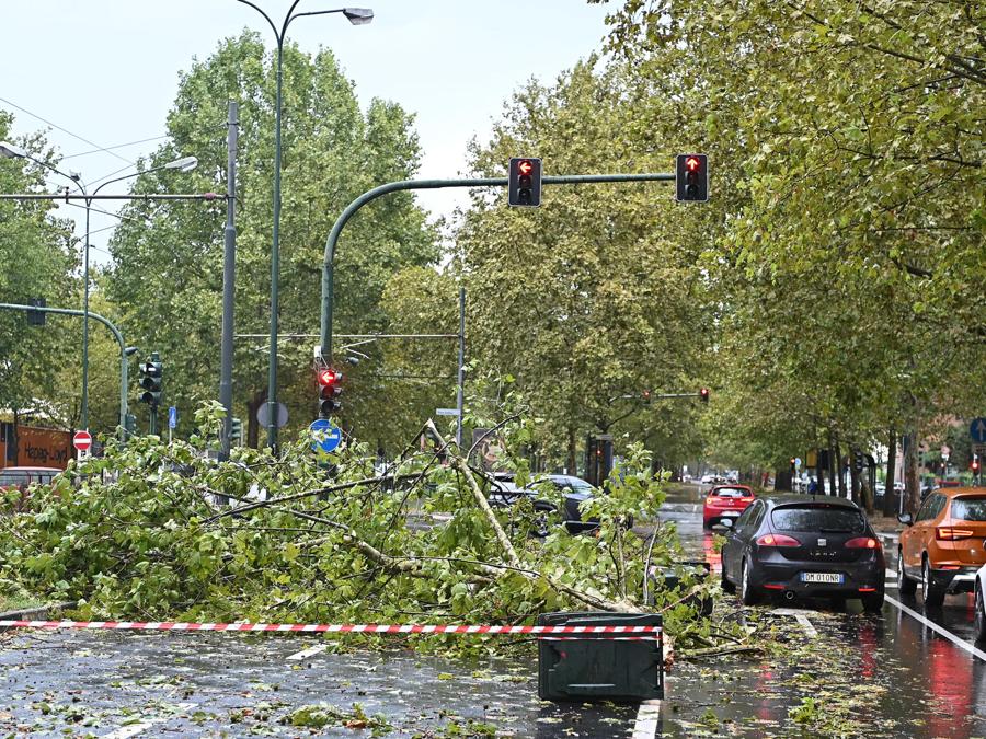 Alberi caduti e allagamenti causati dal nubifragio che ha interessato Torino. (ANSA/ALESSANDRO DI MARCO)