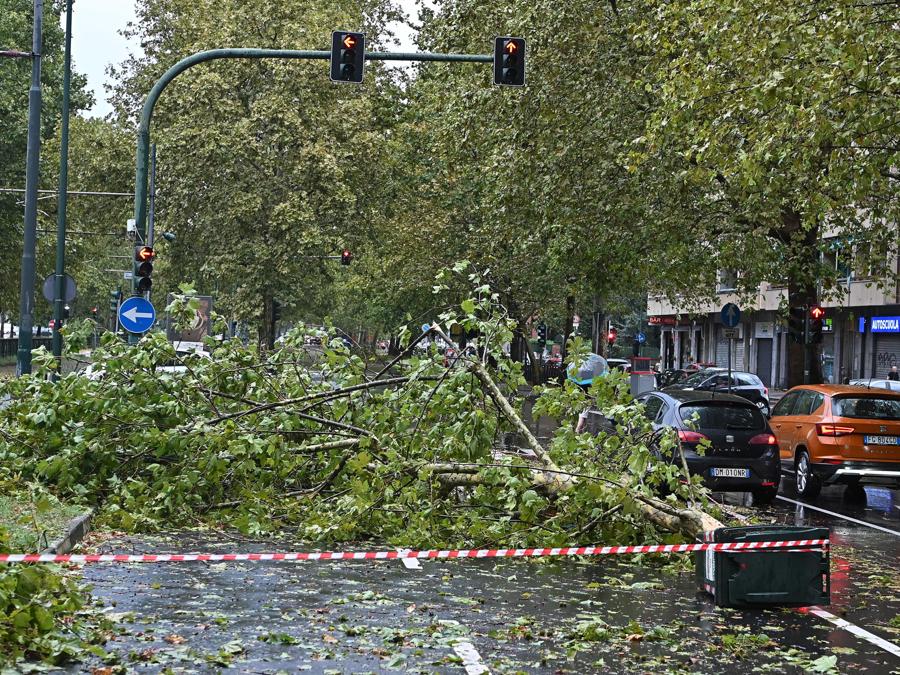 Alberi caduti e allagamenti causati dal nubifragio che ha interessato Torino. (ANSA/ALESSANDRO DI MARCO)