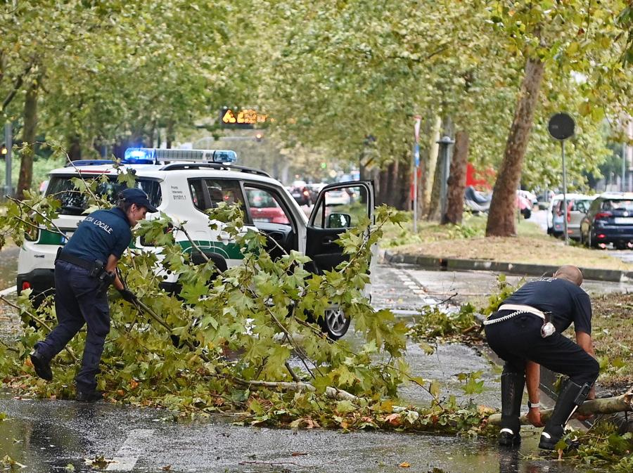 Alberi caduti e allagamenti causati dal nubifragio che ha interessato Torino. (ANSA/ALESSANDRO DI MARCO)