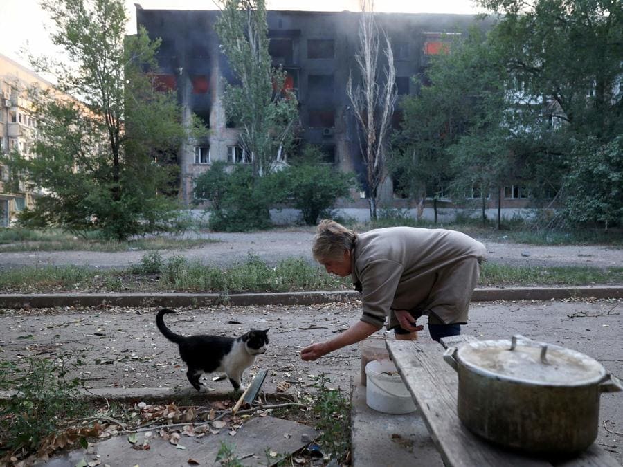 Una signora di  72 anni,dà da mangiare a un gatto davanti a un condominio in fiamme dopo il bombardamento nella città di Toretsk, nella regione di Donetsk. (Photo by Anatolii Stepanov / AFP)