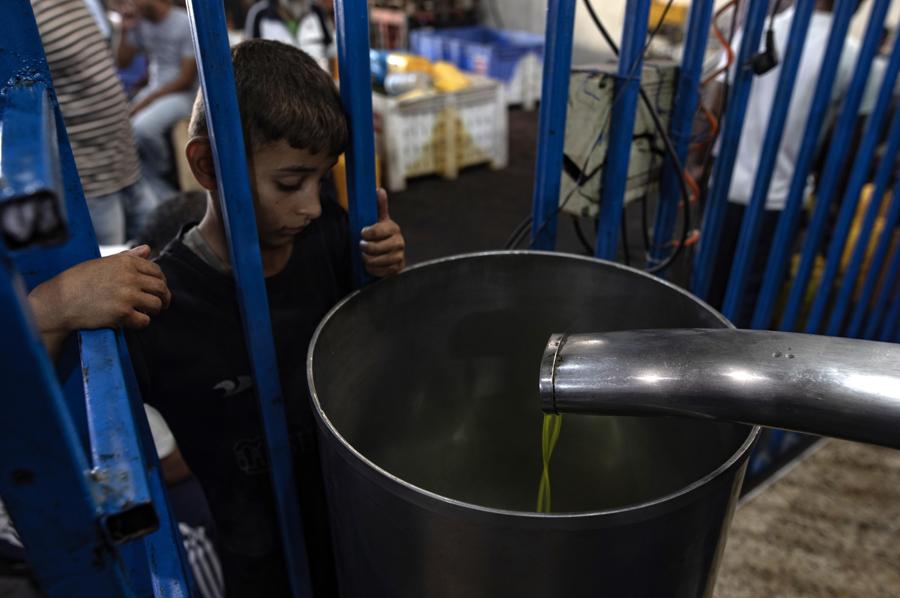 Palestinesi estraggono olio da olive fresche in un frantoio a Khan Yunis, nel sud della Striscia di Gaza, 26 settembre 2024. L’Ufficio dell’Alto Commissario delle Nazioni Unite per i diritti umani (OHCHR) il 25 settembre ha chiesto la protezione degli agricoltori palestinesi e il loro diritto alla sicurezza accedere alla loro terra mentre si avvicina la raccolta delle olive in Cisgiordania. La stagione del raccolto 2023, avvenuta all’indomani del 7 ottobre 2023, è stata influenzata dalle intensificate restrizioni israeliane e dal forte aumento della violenza dei coloni, che ha portato alla distruzione dei mezzi di sussistenza. (EPA)