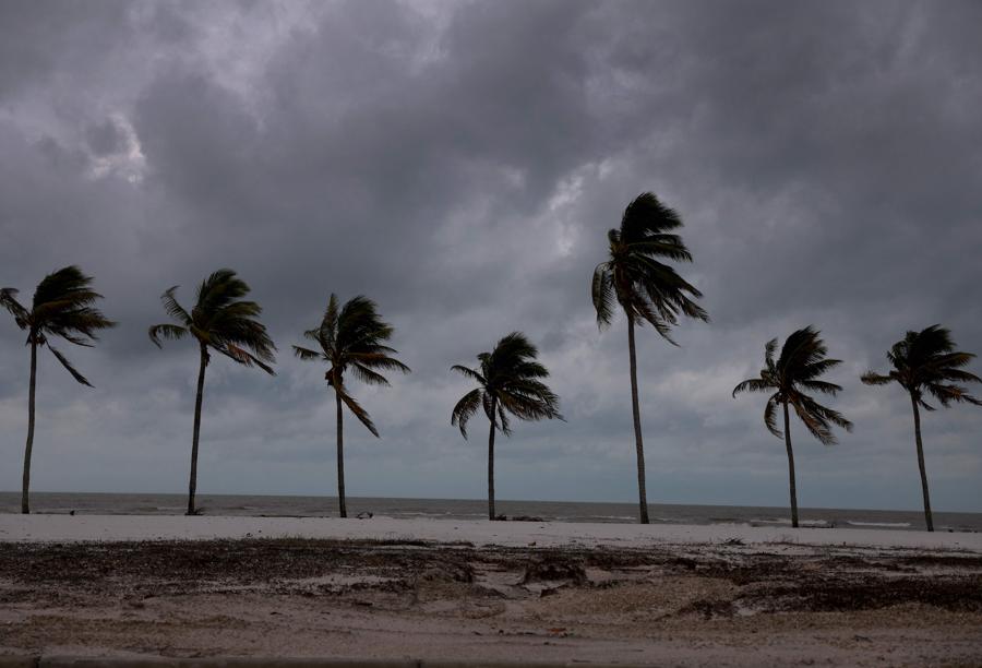 Le palme che costeggiano la spiaggia scosse dal vento prima dell’arrivo dell’uragano Milton a Fort Myers Beach, Florida. (Photo by Joe Raedle / Getty Images North America / Getty Images via AFP)