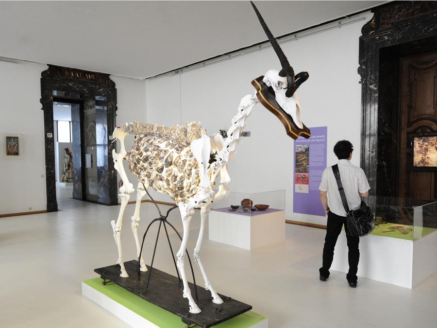 Un’opera di Daniel Spoerri, Museo di storia naturale di Vienna o NHMW. (Photo by Robert Jaeger / Apa-PictureDesk / Apa-PictureDesk via AFP)