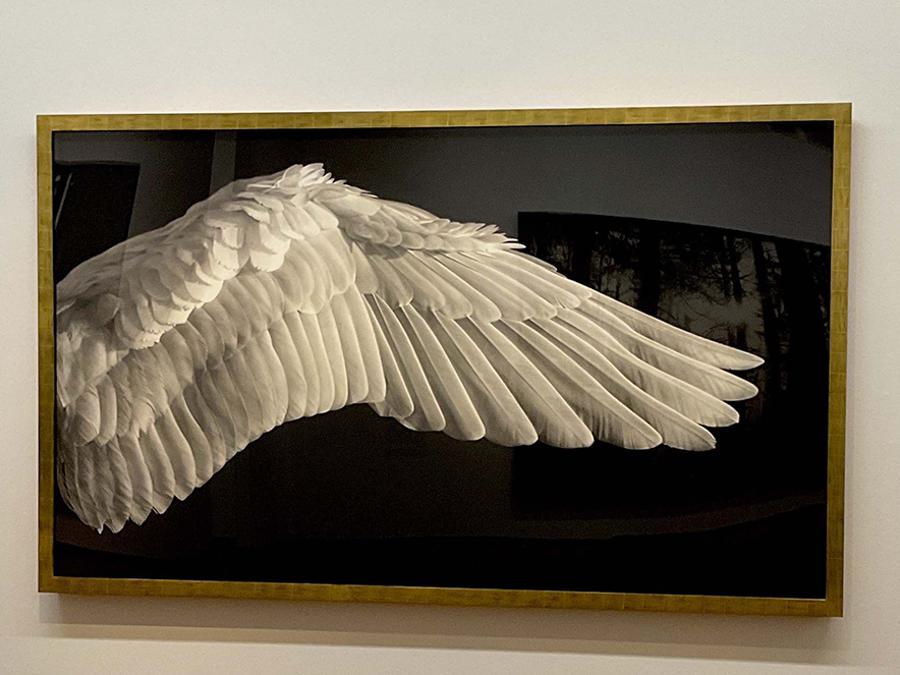 Robert Longo. Gabriel’s Wing, 2015 (©Flavia Foradini)