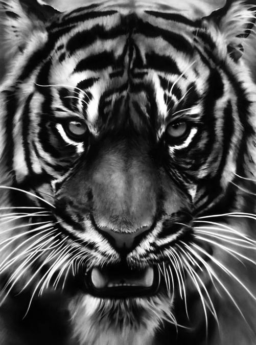 Robert  Longo - White tiger 2011