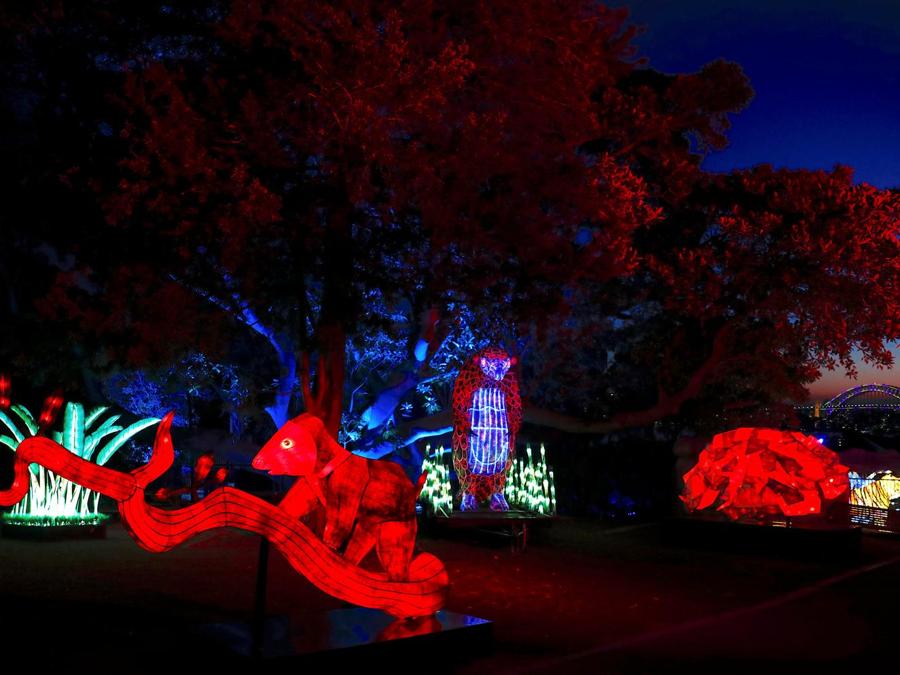 Vivid Sydney, Festival di luci, musica e idee più grande la mondo. Il festival dura per 23 giorni, inizio festival, 25 maggio 2018. (REUTERS/David Gray)