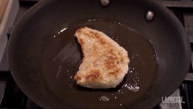 Carne coltivata negli Usa, ecco i laboratori dove si produce e che ...