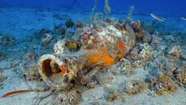 Nei fondali dell'Elba spuntano un dolium e i resti di un relitto - Il Sole 24 ORE