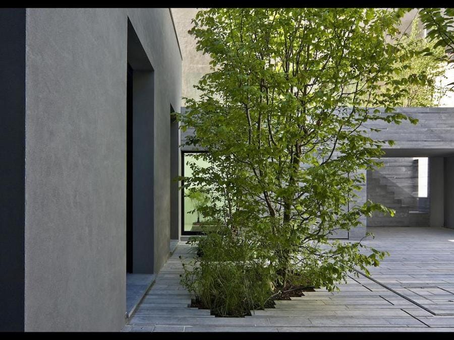 Casa tra glialberi -Un'abitazione luminosa e a contatto con il verde, nel cortile-interno di un condominio -fotoBeppeGiardino.