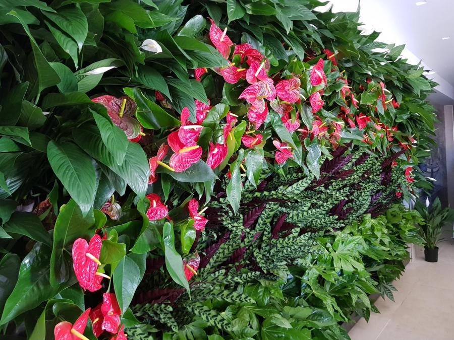 A Siracusa, il progettista Alfio Sciacca ha trasformato la facciata di un condominio di 6 unità abitative con l'inserimento di una parete verde per migliorare anche le prestazioni acustiche e termiche dell'involucro. Il sistema scelto è il Wall Green. L'intervento è stato realizzato dall'azienda Planeta. Il costo complessivo dell'intervento (comprensivo di impianto di irrigazione, fertiirrigazione e illuminazione) è di 8.400 euro