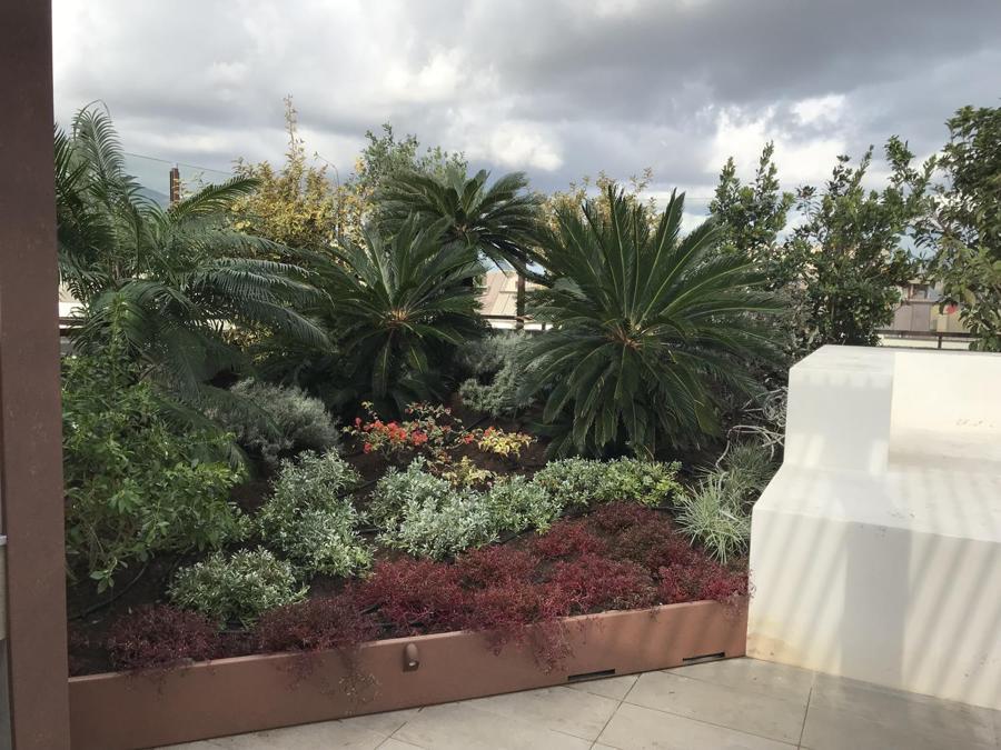 A Palermo, nel Parco della Favorita l'architetto Lorenzo Politi ha trasformato il preesistente lastrico solare in un giardino pensile intensivo. L'intervento è stato realizzato dall'azienda Planeta.  