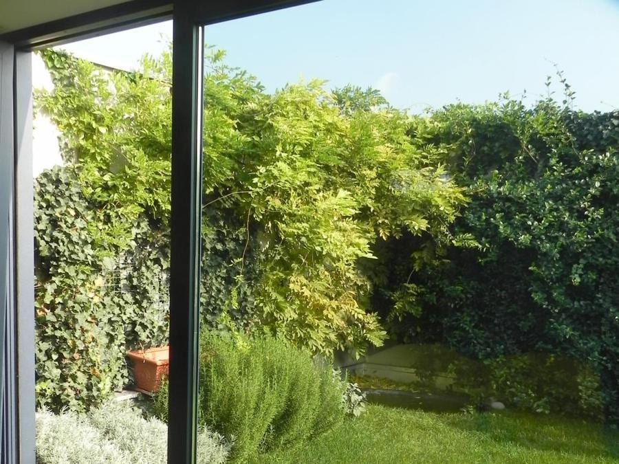 A Cinisello Balsamo, in provincia di Milano, la Harpo ha ristrutturato un lastrico trasformandolo in un roof top Garden con orto pensile. L'intervento ha interessato un condominio di edilizia convenzionata.