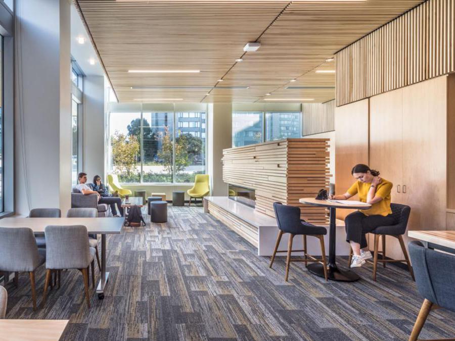 Il Brock Commons di Vancouver (Canada) ospita gli studenti della University of British Columbia