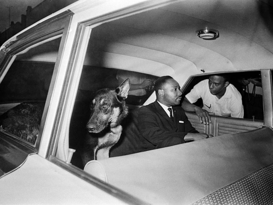 12 giugno 1964 - Su un’auto della polizia a St. Augustine (AP Photo, File)