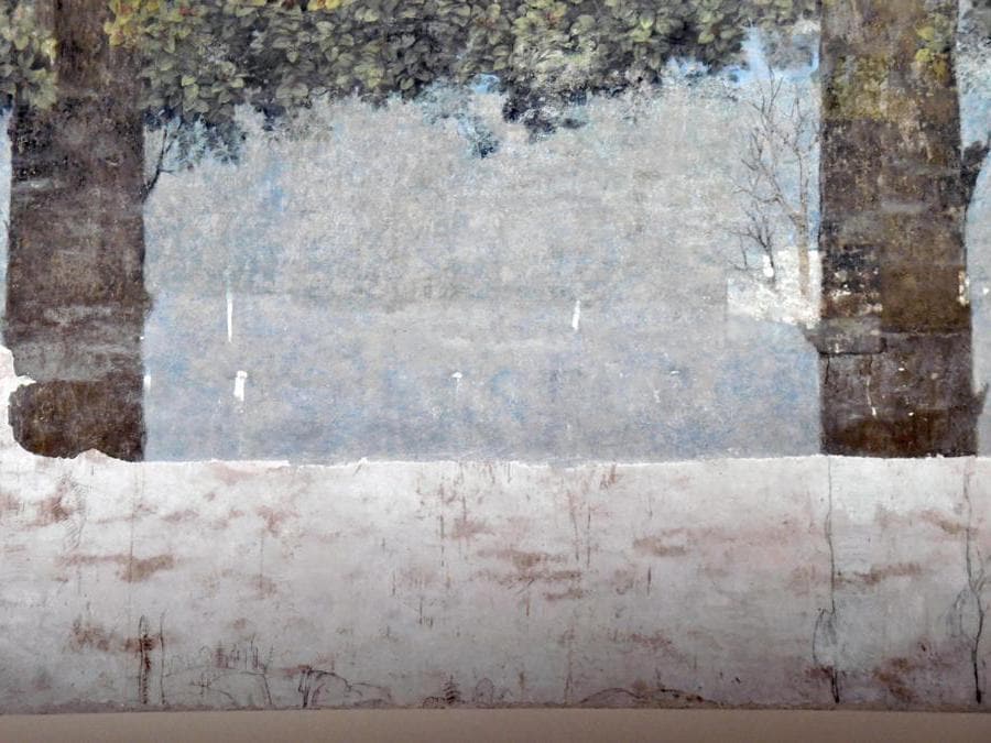 Due dei disegni a carboncino, tracce di disegni preparatori, attribuiti a Leonardo da Vinci, nella Sala delle Asse dipinta dallo stesso Leonardo. È la sala più rappresentativa del castello degli Sforza e riapre eccezionalmente al pubblico dopo il 6 anni di restauri. ANSA/DANIEL DAL ZENNARO