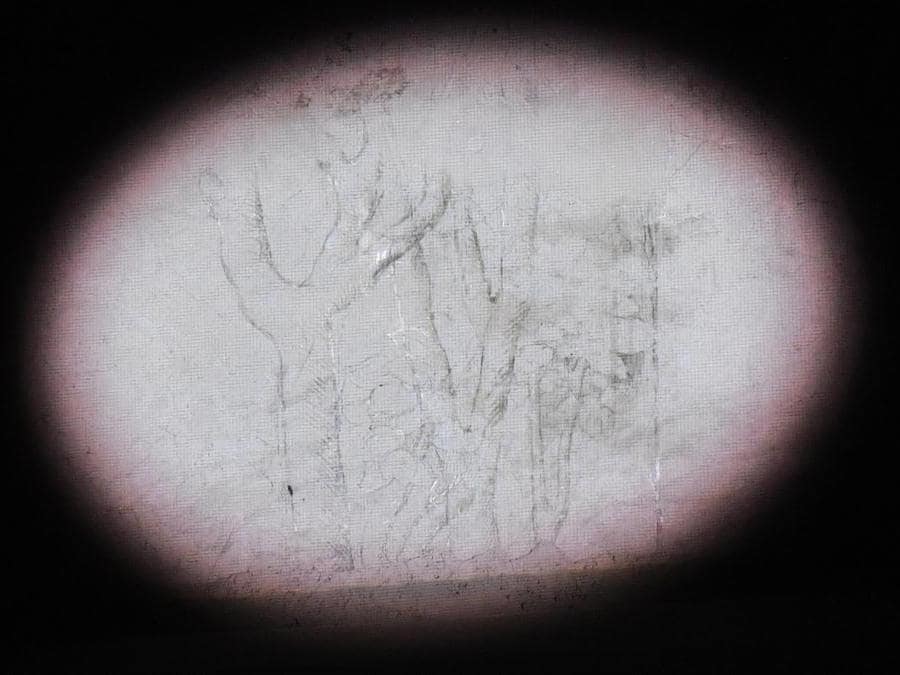 Un riflettore illumina uno dei disegni a carboncino, tracce di disegni preparatori, attribuiti a Leonardo da Vinci, nella Sala delle Asse dipinta da Leonardo nel Castello Sforzesco di Milano. ANSA/DANIEL DAL ZENNARO