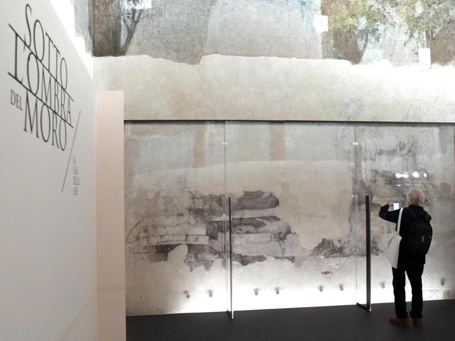 Un visitatore scatta una foto del Monocrome, un disegno a carboncino, tracce di disegni preparatori, attribuiti a Lenardo da Vinci, nella Sala delle Asse . ANSA/DANIEL DAL ZENNARO