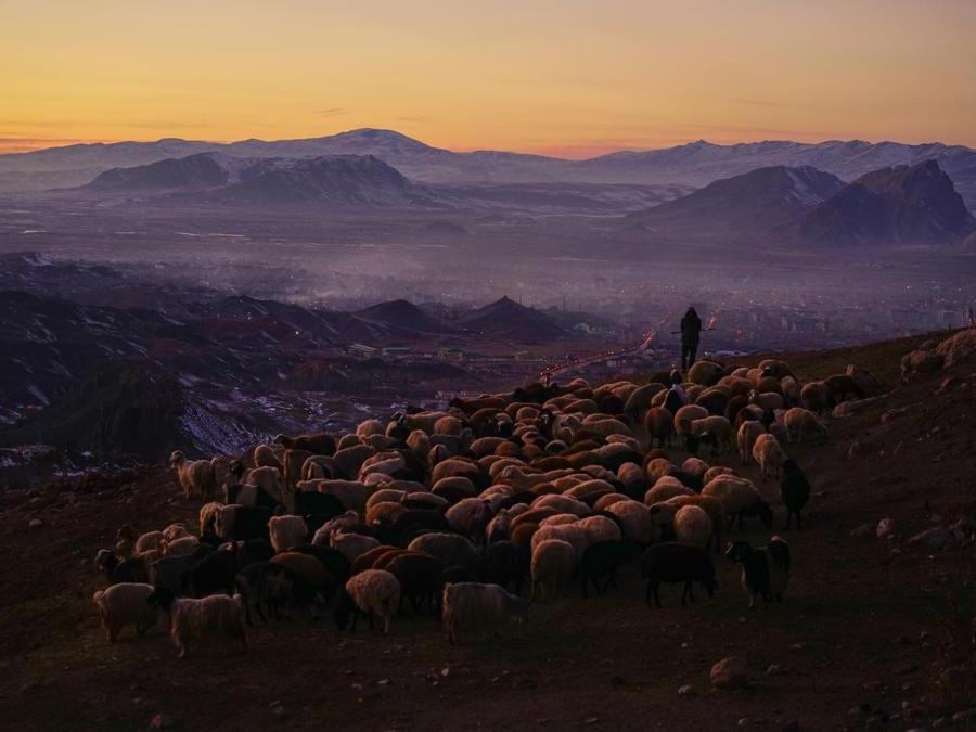 Image Name: A Taste of Everything. Photographer Name: Nuket Uluc. Year: 2018. Copyright: © Nuket Uluc, Turkey, Commended, Open Culture and Winner, Turkey National Award, 2018 Sony World Photography Awards
