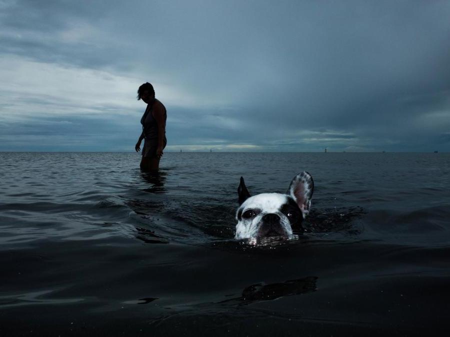 Image Name: 004.jpg. Photographer Name: Thanasorn Janekankit. Year: 2018. Copyright: © Thanasorn Janekankit, Thailand, Shortlist, Open Street Photography and 2nd Place, Thailand National Award, 2018 Sony World Photography Awards