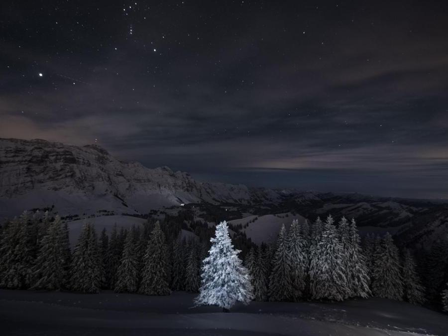 Image Name: Lighten up. Photographer Name: Sylvia Michel. Year: 2018. Copyright: © Sylvia Michel, Winner, Switzerland National Award, 2018 Sony World Photography Awards