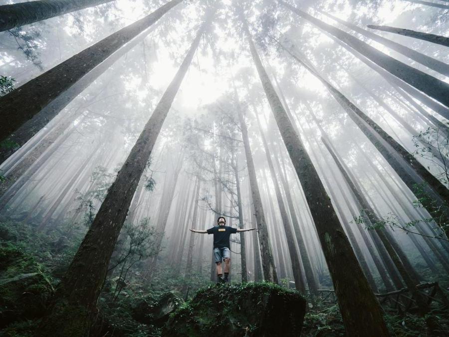 Image Name: Ethereal light. Photographer Name: Lanze Haung. Year: 2018. Copyright: © Lanze Haung, 2nd place, Taiwan National Award, 2018 Sony World Photography Awards