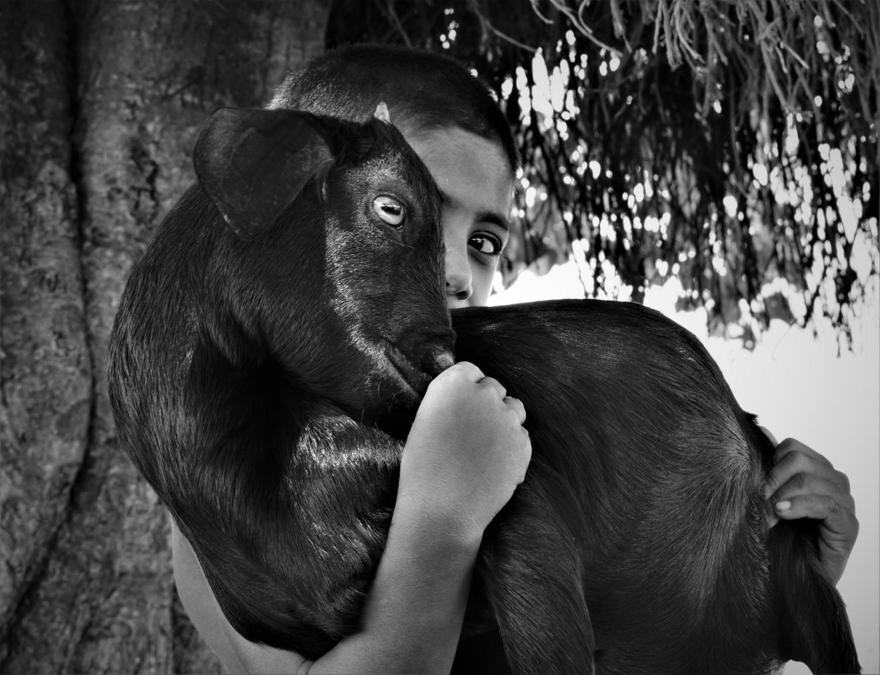 Image Name: Friendship. Photographer Name: Md. Tofazzal Hossain. Year: 2018. Copyright: © Md.Tofazzal Hossain, Bangladesh, Shortlist, Open Street Photography and Winner Bangladesh National Award, 2018 Sony World Photography Awards