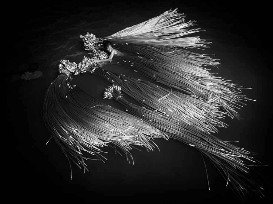 Image Name: Freedom. Photographer Name: Min Ly. Year: 2018. Copyright: © Min Ly, Cambodia, Commended, Open Travel and Winner and 2nd Place, Cambodia National Awards, 2018 Sony World Photography Awards
