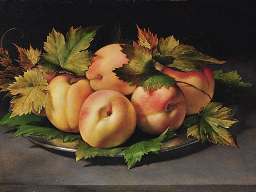 Giovanni Ambrogio Figino (1552-1608), Piatto metallico con pesche e foglie di vite, 1592-1593 circa, olio su tavola (Collezione privata)