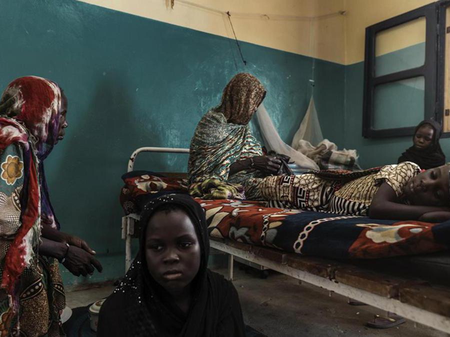 «The Lake Chad Crisis» di Mohammed Badra (Ansa)