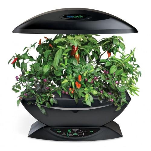 Aerogarden con ChiliPepper 
