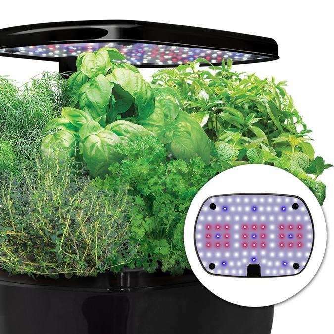 Miracle-Gro, da 6 capsule, con lampada Led da 20 Watt, display per la gestione delle piante; la luce blu indica che occorre aumentare i nutrienti naturali.