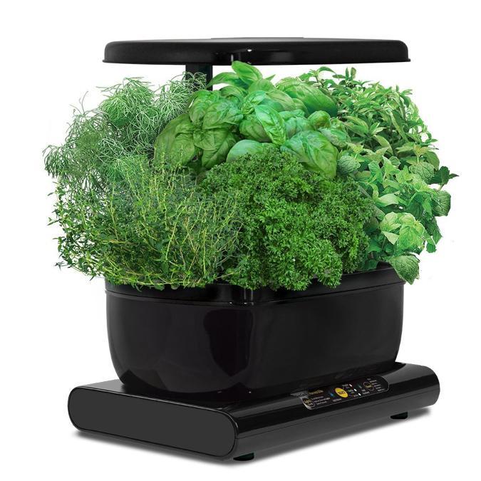Miracle-Gro, da 6 capsule, con lampada Led da 20 Watt, display per la gestione delle piante; la luce blu indica che occorre aumentare i nutrienti naturali.