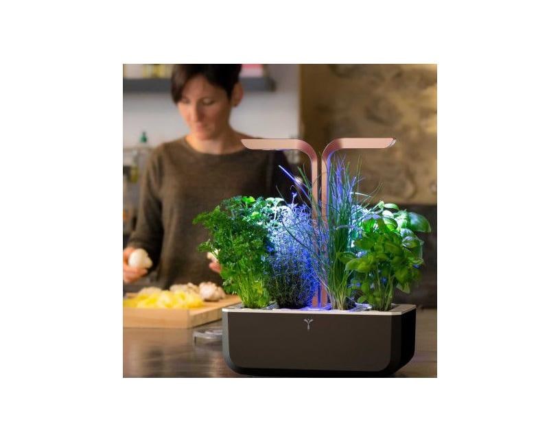 Smart Copper, contenitore per 4 cpasule in grani, in grado di dare un primo raccolto dopo sole 2 settimane; i sensori controllano crescita, luce, nutrienti e acqua. Euro 200.