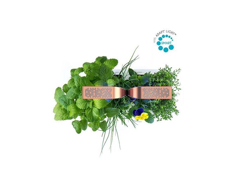 Smart Copper, contenitore per 4 cpasule in grani, in grado di dare un primo raccolto dopo sole 2 settimane; i sensori controllano crescita, luce, nutrienti e acqua. Euro 200.