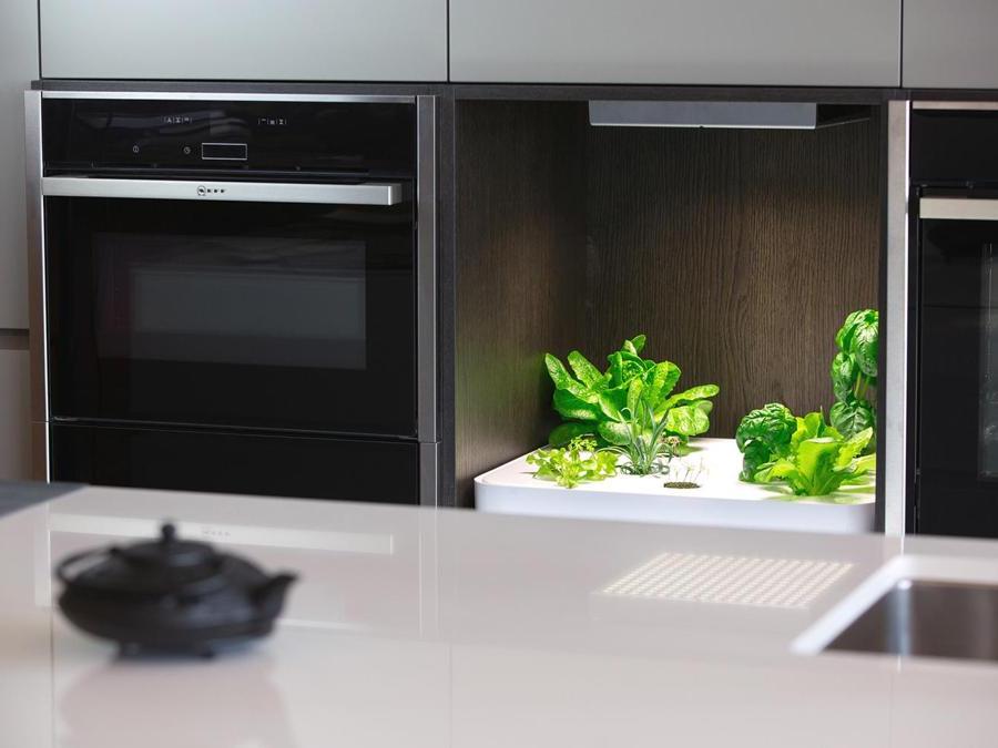 Vegidair, mobile da incasso o free standing per coltivare 16 varietà, finanziato da crowdfunding Kichstarter, può fornire sino a 20 kg di insalatina all'anno; Sul display è possibile leggere indicazioni, allarmi, news.