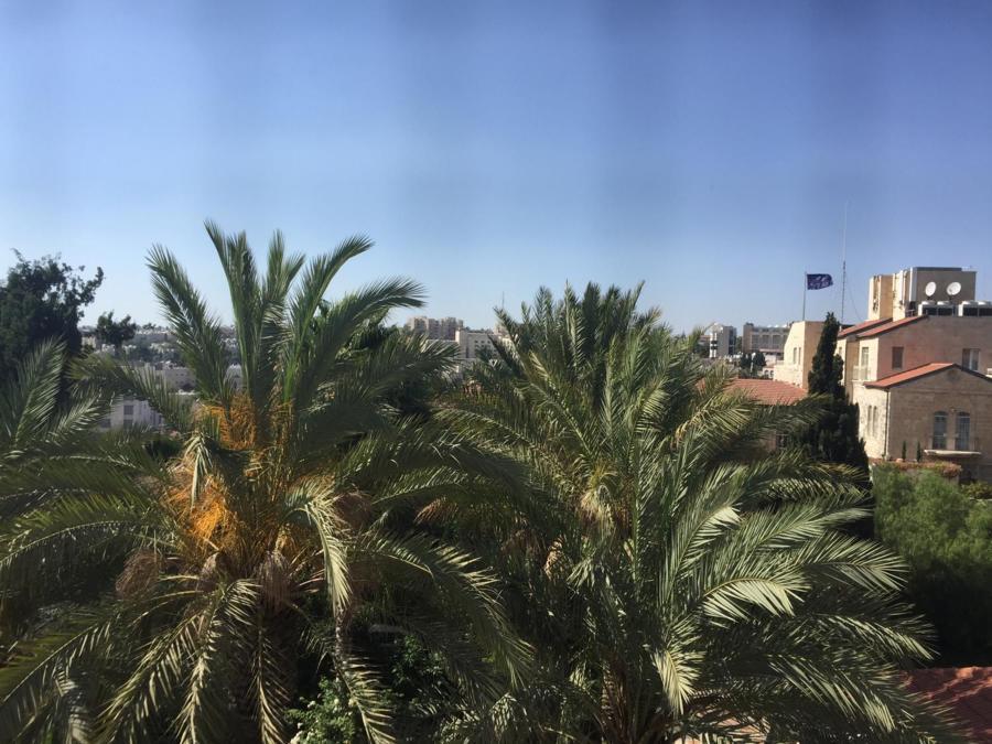 La vista da una suite sul parco che collega tutti i corpi dell'hotel e sulla città in fondo. Foto di Sara Magro.