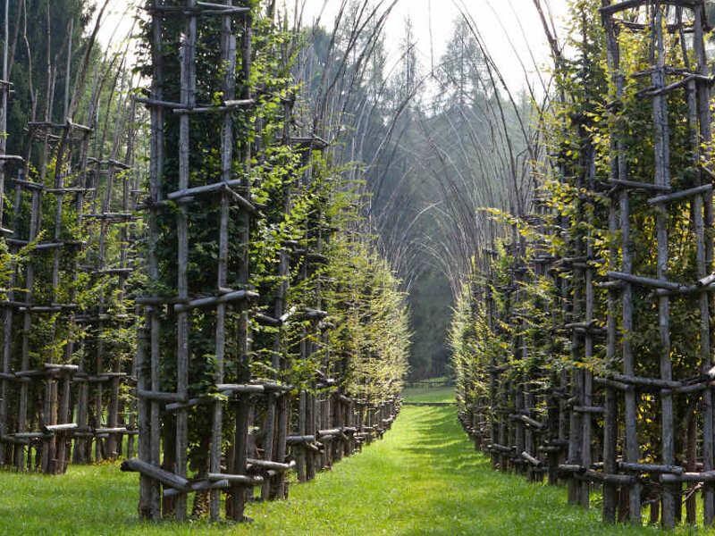 TRENTINO ALTO ADIGE: Arte Sella è una manifestazione internazionale di arte contemporanea, nata nel 1986 e sin da subito creata per svolgersi all'aperto, sui prati di questi luoghi e nei bellissimi boschi della Val di Sella. Il progetto artistico vuole essere non solo un' esposizione qualificata di opere d'arte, ma anche e soprattutto un processo creativo: l'opera è seguita giorno per giorno nel suo crescere e l'intervento dell'artista deve esprimere il rapporto con la natura basato sul rispetto, traendo da essa ispirazione e stimolo. Si tratta solitamente di opere tridimensionali, questo perché ottenute con sassi, foglie, rami o tronchi; più raramente sono utilizzati oggetti, materiali o colori artificiali e sono collocate all'aperto: il visitatore può così vedere le opere e allo stesso tempo godere delle particolarità ambientali del luogo. Alla chiusura della manifestazione le opere sono abbandonate a sè stesse, affinché si inseriscono nel tempo nel ciclo vitale della natura. Fra le opere presenti più importanti si segnala la prima Cattedrale Vegetale, realizzata nel 2001 dall'artista lodigiano Giuliano Mauri. Situata in una radura presso “Malga Costa” è costituita da oltre tremila rami intrecciati, a formare una una cattedrale a tre navate, con ottanta colonne alte 12 metri su 1220 metri quadrati di superficie. All'interno di ogni colonna è collocata una pianta carpino, che, una volta cresciuta dovrebbe prendere il posto della struttura attuale, destinata a marcire e a scomparire.